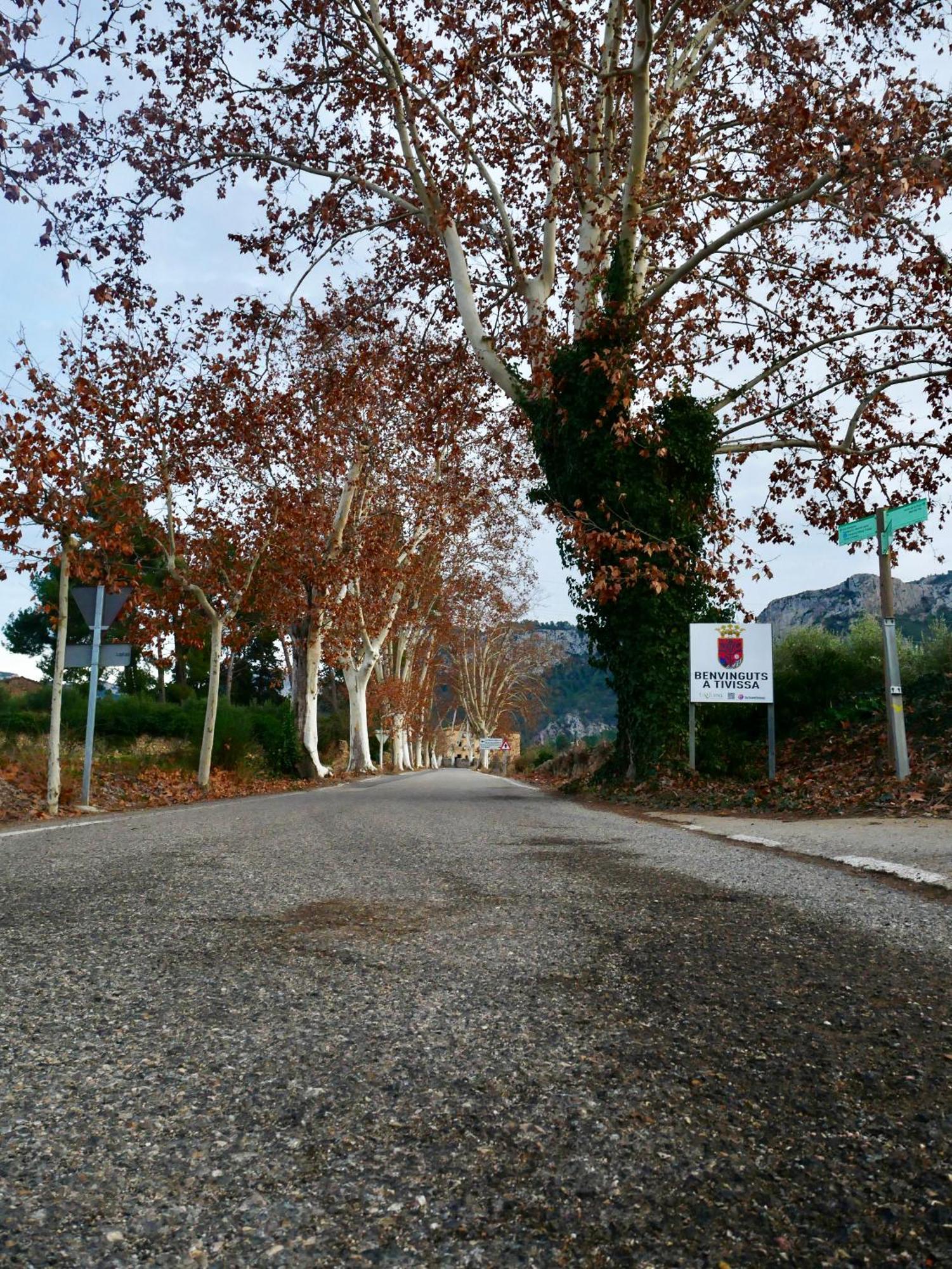 Apartament Rural Monetze Tivissa Exterior foto